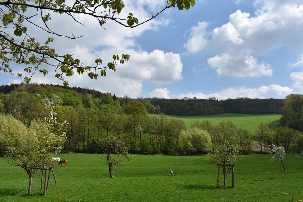 Ferienwohnung Guese Detmold Exterior foto